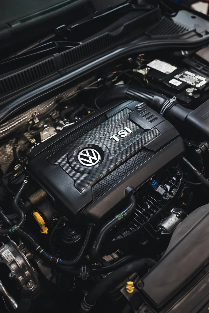 IMG_7058.jpg